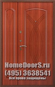 Двустворчатая металлическая дверь "Влада ДВ" фото