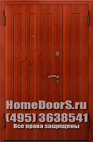 Двустворчатая металлическая дверь "Борнео ДВ" фото