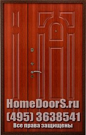 Двустворчатая металлическая дверь "Сильвия ДВ" фото